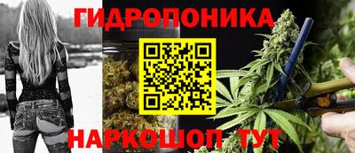 крисы Малгобек